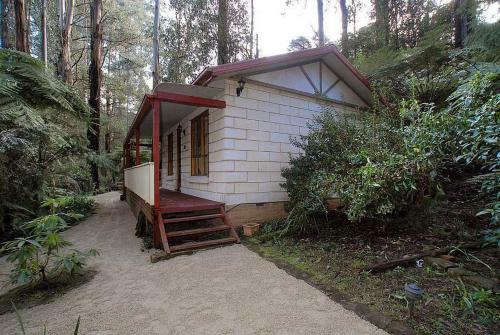 Villa Fernglen Forest Retreat