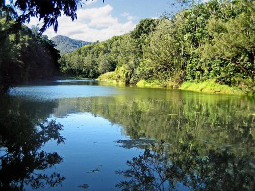 Bed & Breakfast Mt Warning Retreat