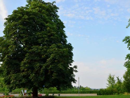 Holiday Home Am Ferienbauernhof III