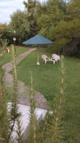 Apartamento Bungalows Curup�