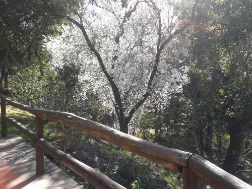 Agroturismo Caba�as De Troncos La Cumbre