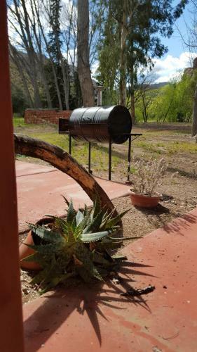 Lodge �gata Caba�as