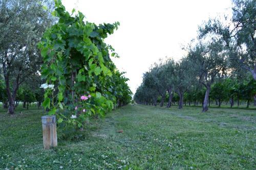 Apartamento Finca Fisterra