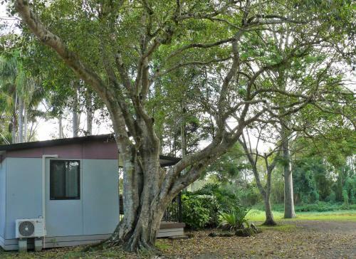 Lismore Lake Holiday Park