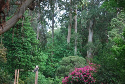 Rocky Creek Art Garden B&B