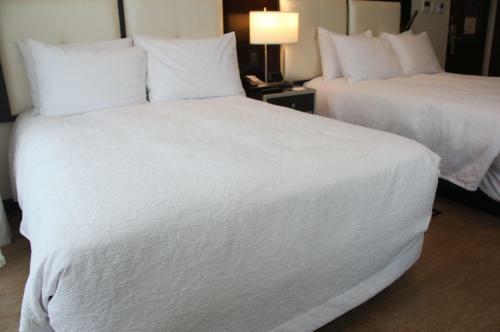 Hotel Hampton By Hilton Santa Cruz