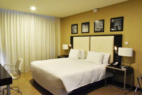 Hotel Hampton By Hilton Santa Cruz