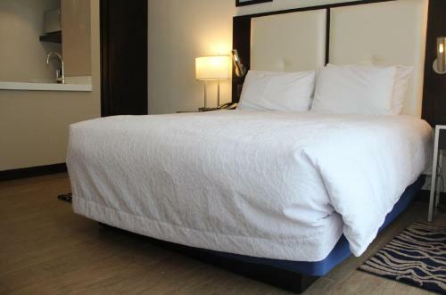 Hotel Hampton By Hilton Santa Cruz