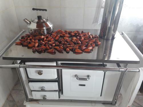 Hostal Pousada Alternativa Viva Serra
