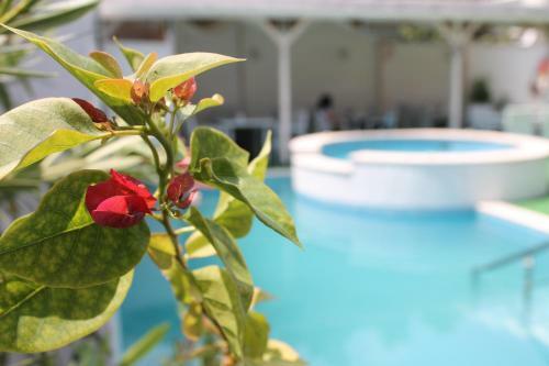 Saint George Family Hotel