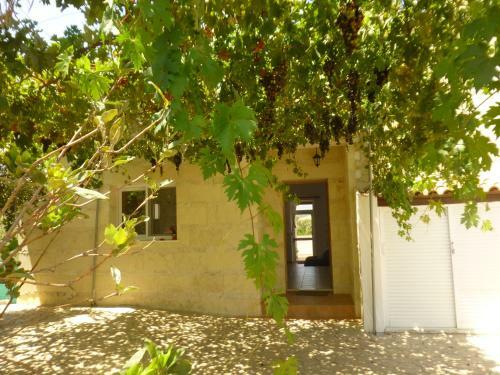 Papas Villa 3