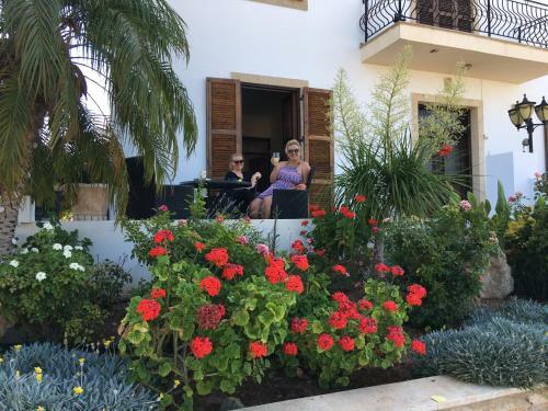 Bed & Breakfast Wild Flower