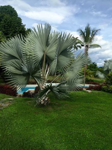 Agroturismo Finca La Bella