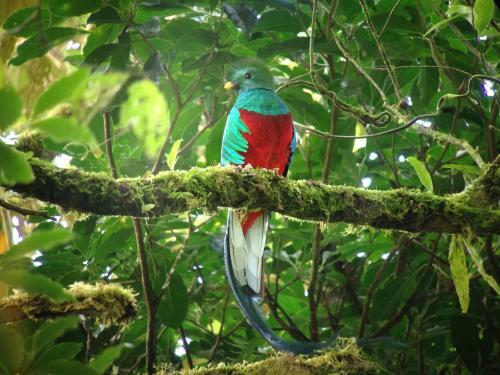 Rainbow Valley Lodge Costa Rica