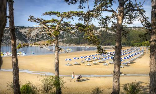 Camping San Marino