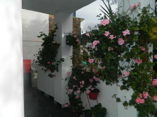 Hotel Terrazas Hospedaje
