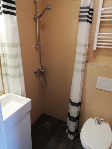 Apartamento Attic Karlov?ka