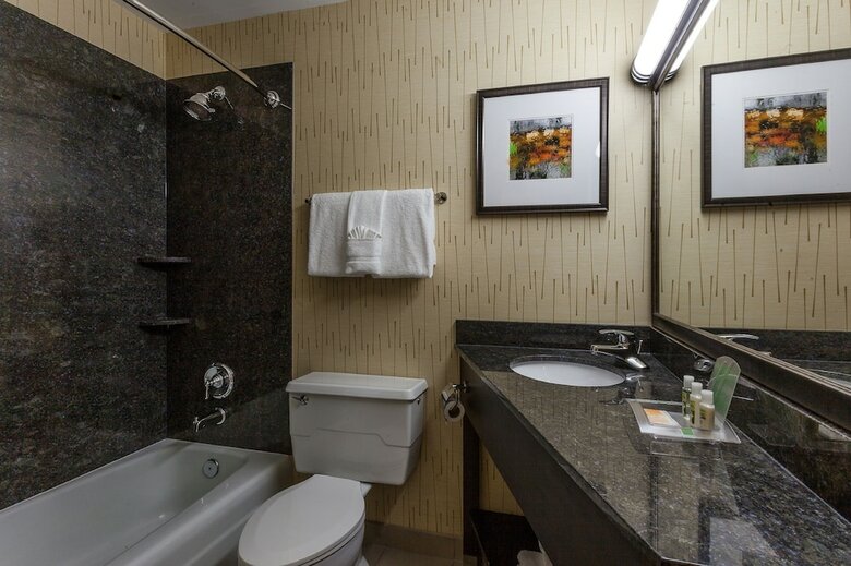 Hotel Holiday Inn Chicago North Evanston