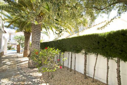 Pino Alto Villas Gallo