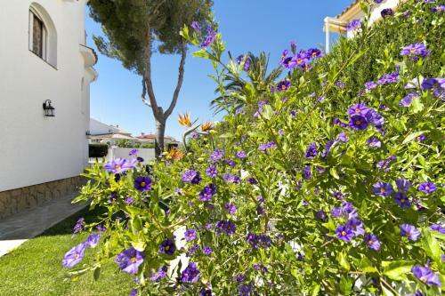 Pino Alto Villas Gallo