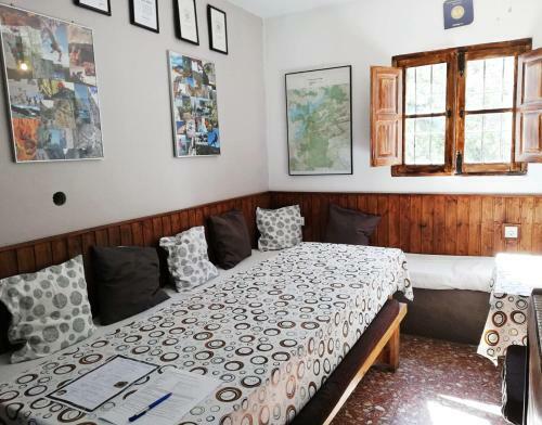 Hostal Olive Branch