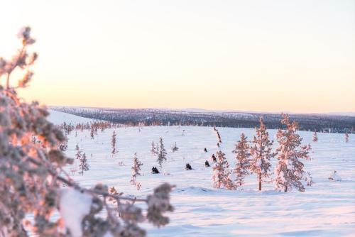 Hotel Northern Lights Village