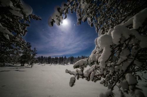 Hotel Northern Lights Village