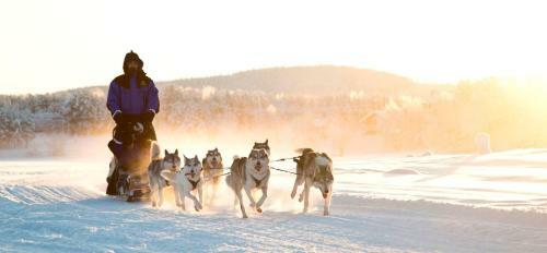 Hotel Northern Lights Village