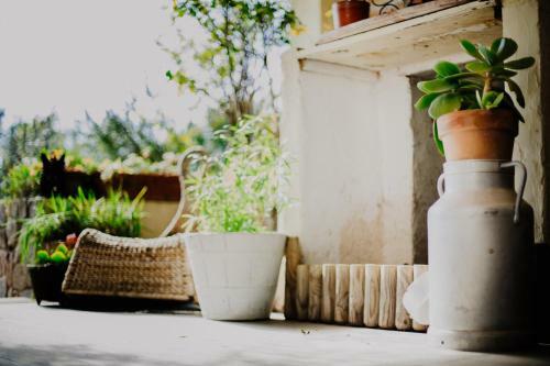 Bed & Breakfast C�t�-vignes Chambre D'h�tes