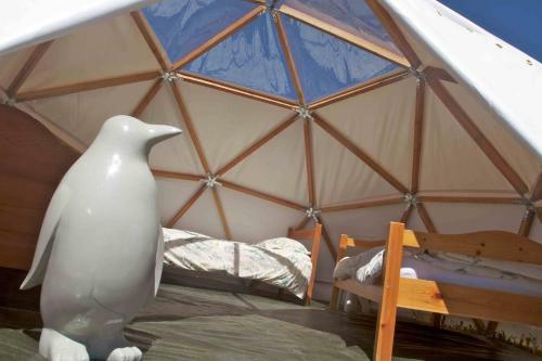 Bed & Breakfast Le Chalet Viso