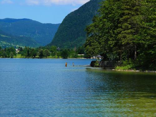 Holiday Home Apartment Zupancic 2