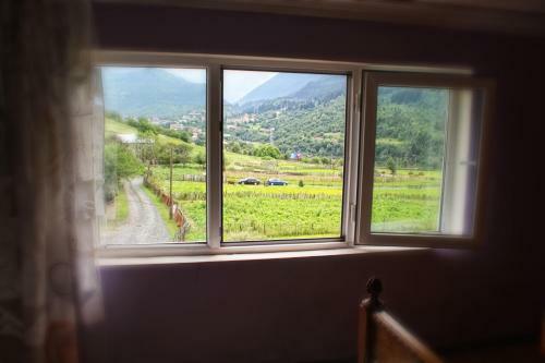 Hostal Mestia Valeris Guesthouse