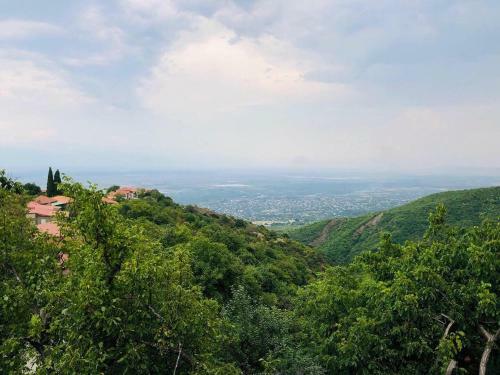 Hostal Guest House Evdoshvili St N5