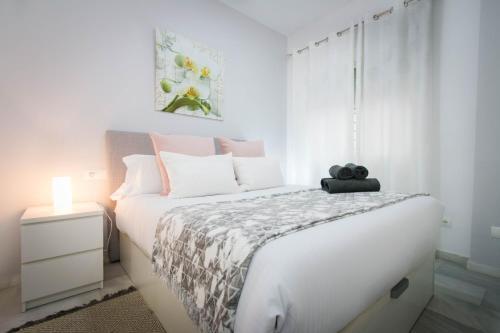 Apartments Holidays 2 Malaga Historic Center