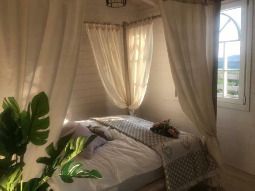Villa Poggio Ulivo B&B Relais
