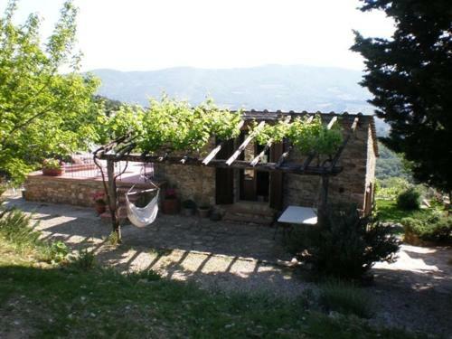 Agroturismo Agriturismo Podere Torre