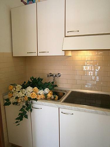 Apartamento Castore