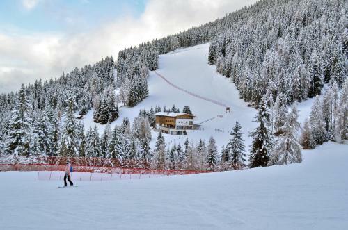 Alpine Hotel Gran Foda'