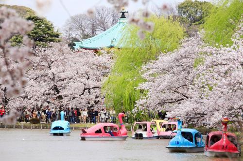 Centurion Ladies Hostel Ueno Park (female Only)
