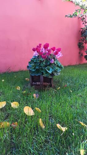 Bed & Breakfast Il Viandante