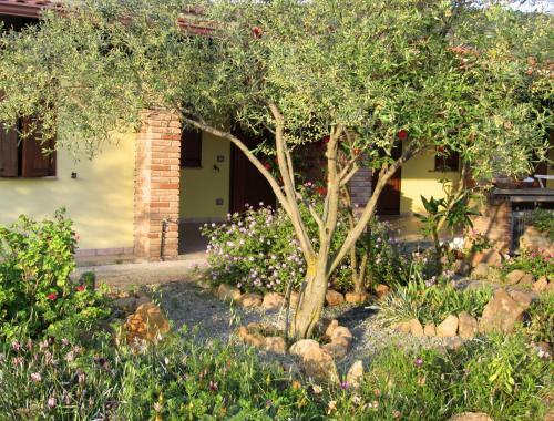 Agroturismo Agriturismo Sa Tiria