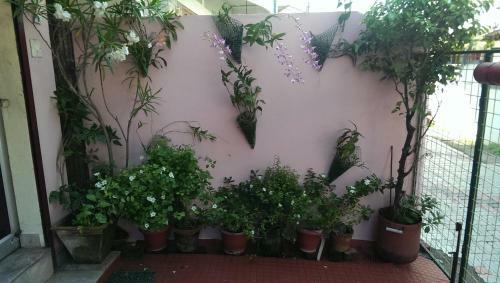 Crystalica Home Stay