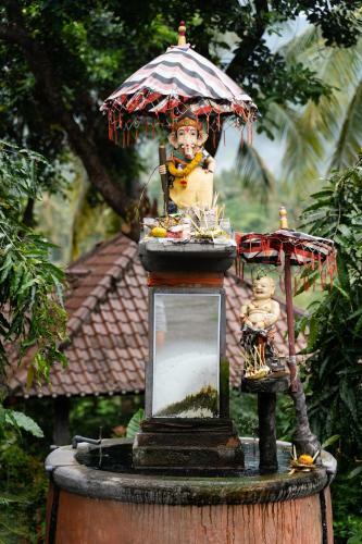 Hostal Lotus Guesthouse
