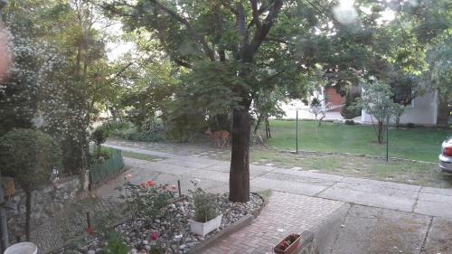 Apartamento Z�nka-balaton