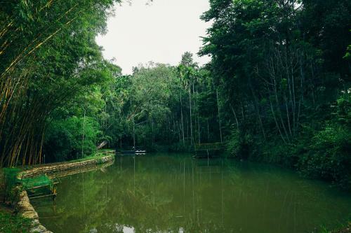 Hotel Bamboo Creek Resort