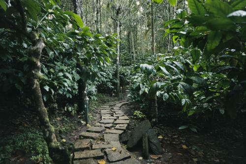 Hotel Bamboo Creek Resort