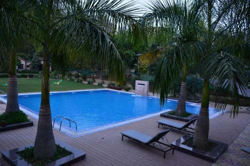 Hotel Clarissa Resort
