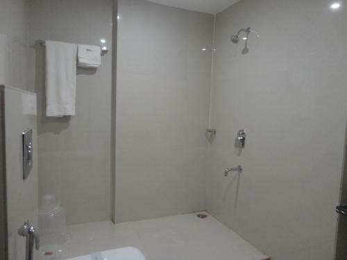 Hotel Delite Grand