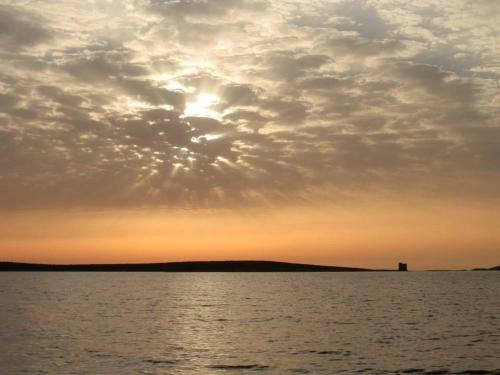Le Eriche