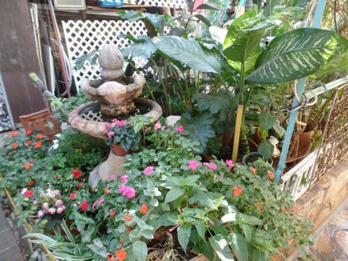 Cozy Garden